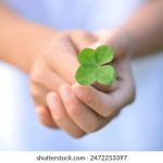 CCTV5今日精彩赛事直播全程观看指南 2mdn2