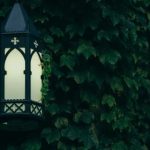 赌博网站的法律法规:玩家需要了解的基本知识 6i9mnlacny