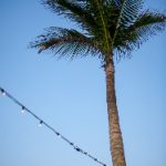 赌博种类的风险与收益:如何选择适合自己的游戏? 750n0et