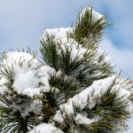 贵族娱乐平台网站的安全性与用户体验分析 i1qian