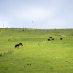 《最强大脑》江苏卫视独家直播震撼开启 fs7e8m0ip