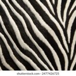 《星际争霸2》高能对战直播间火爆开启 op825bt8